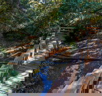 Ms Kellys Walking Track - Accommodation QLD