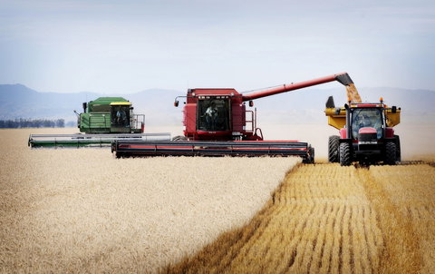 Mullaley - Accommodation QLD 0