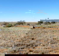 Mungo Self-guided Drive Tour - Accommodation QLD