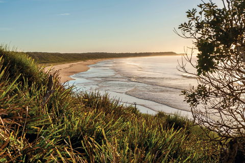 Murramarang National Park - Accommodation QLD 0