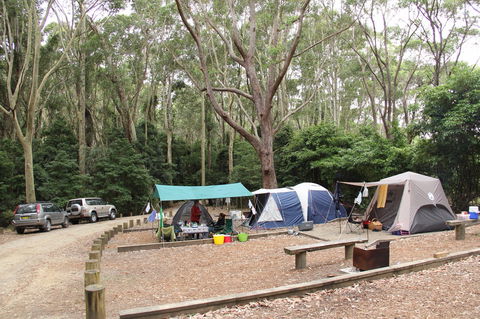 Murramarang National Park - Accommodation QLD 2