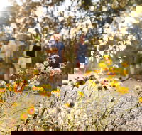 Nail Can Hill - Accommodation QLD