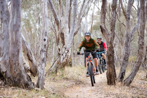 Nail Can Hill - Accommodation QLD 1