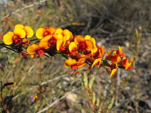 Nail Can Hill - Accommodation QLD 2