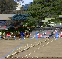 Nowra Croquet Club - Accommodation QLD