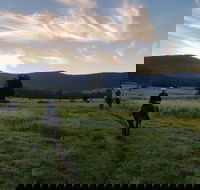 Numinbah Valley Adventure  Camping - Accommodation QLD