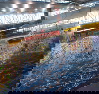 Oasis Regional Aquatic Centre - Accommodation QLD