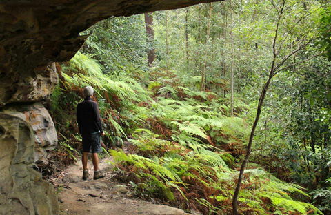 Old Great North Road Bike Ride - Accommodation QLD 0