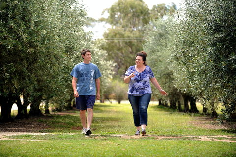 Olives Of Beaulieu - Accommodation QLD 0