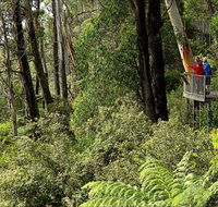 Pipers lookout - Accommodation QLD
