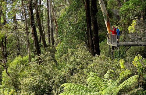 Pipers Lookout - Accommodation QLD 0