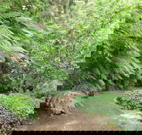 Pirianda Gardens - Accommodation QLD