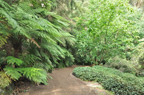 Pirianda Gardens - Accommodation QLD 0