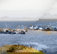 Portarlington - Accommodation QLD