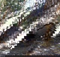 PS Providence historic site - Accommodation QLD