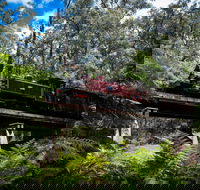 Puffing Billy Railway - Accommodation QLD