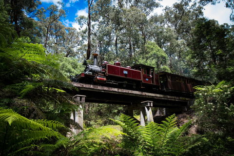 Puffing Billy Railway - Accommodation QLD 0