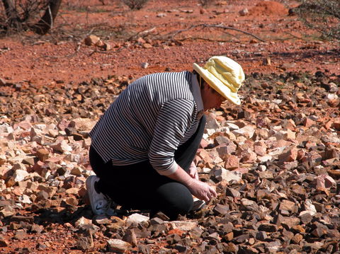 Quilpie Opal Fossicking - Accommodation QLD 1