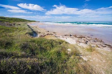 Racecourse Beach: Bawley Point - Accommodation QLD 0