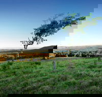 Ravensbourne National Park - Accommodation QLD