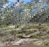Reef Hills State Park - Accommodation QLD
