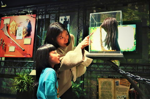 Ripleys Believe It Or Not! Odditorium - Accommodation QLD 2