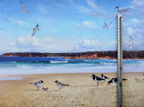Shoalhaven Toilet Mural Tour - Accommodation QLD 2