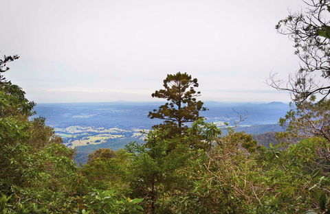 Slingsbys Trail And Syndicate Ridge Track - Accommodation QLD 0