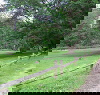 St Albans Reserve - Accommodation QLD