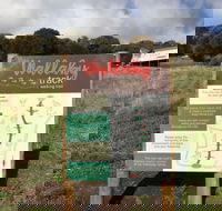 The Wallaby Track - Accommodation QLD