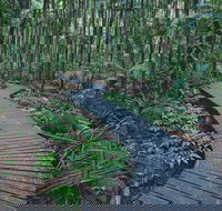 The Channon Protesters Falls Nimbin and Mount Nardi - Accommodation QLD