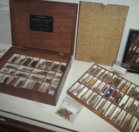 UQ Marks-Hirschfeld Museum of Medical History - Accommodation QLD
