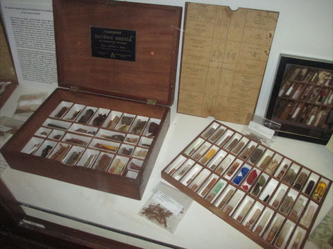 UQ Marks-Hirschfeld Museum Of Medical History - Accommodation QLD 0