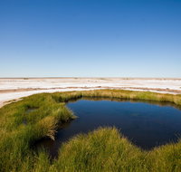 Wabma Kadarbu Mound Springs Conservation Park - Accommodation QLD