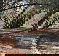 Warrego Floodplain walking track - Accommodation QLD