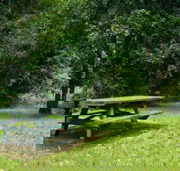Williams River picnic area - Accommodation QLD
