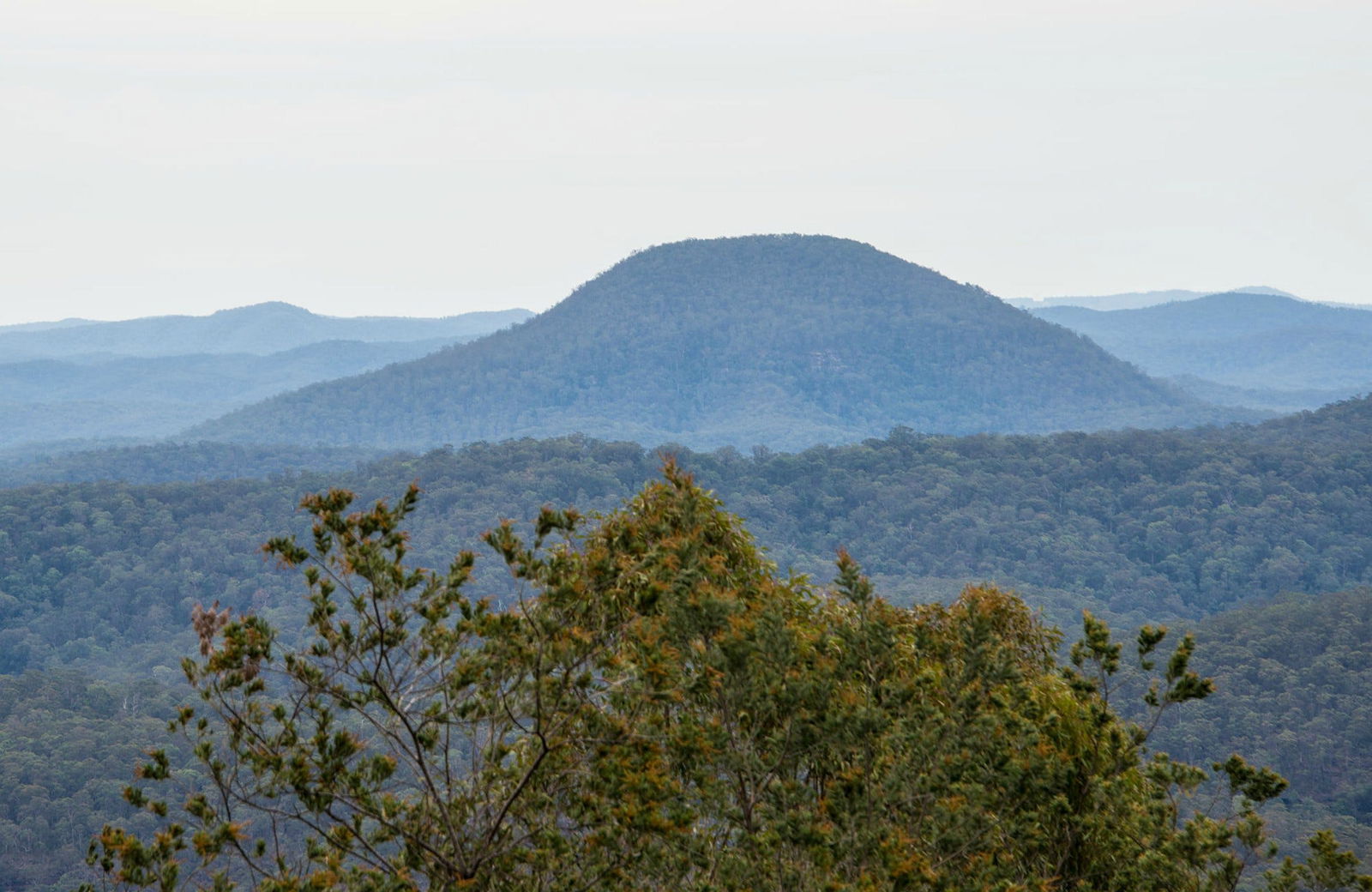Abernethy NSW Accommodation QLD