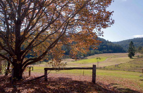 Yengo National Park - Accommodation QLD 1