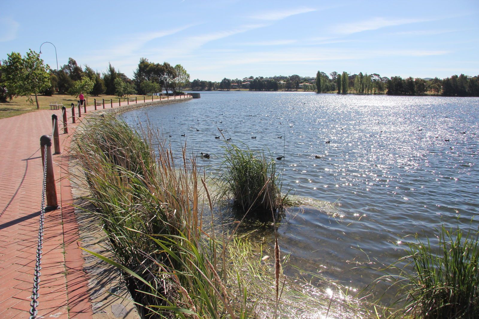 Amaroo ACT Accommodation QLD