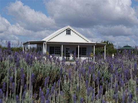 Amandine Lavender - Accommodation QLD 0