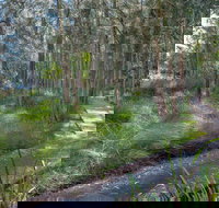 Anabranch Loop Track - Accommodation QLD