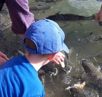 Aquascene - Accommodation QLD