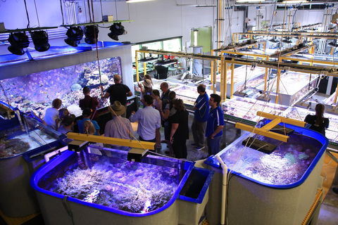 Australian Institute Of Marine Science - Accommodation QLD 0