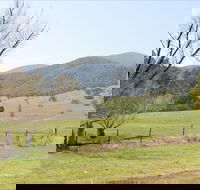Banimboola Creek Rest Area - Accommodation QLD