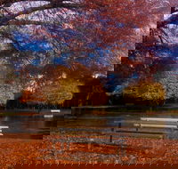 Bells Parade Reserve - Accommodation QLD