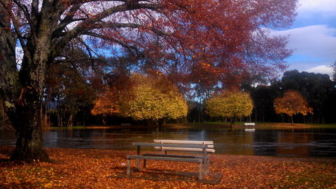 Bells Parade Reserve - Accommodation QLD 0