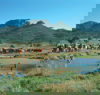 Biggenden - Accommodation QLD