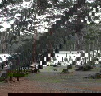 Big Brook Arboretum - Accommodation QLD