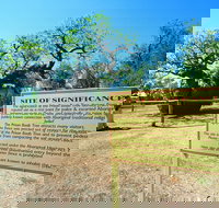 Boab Prison Tree - Accommodation QLD