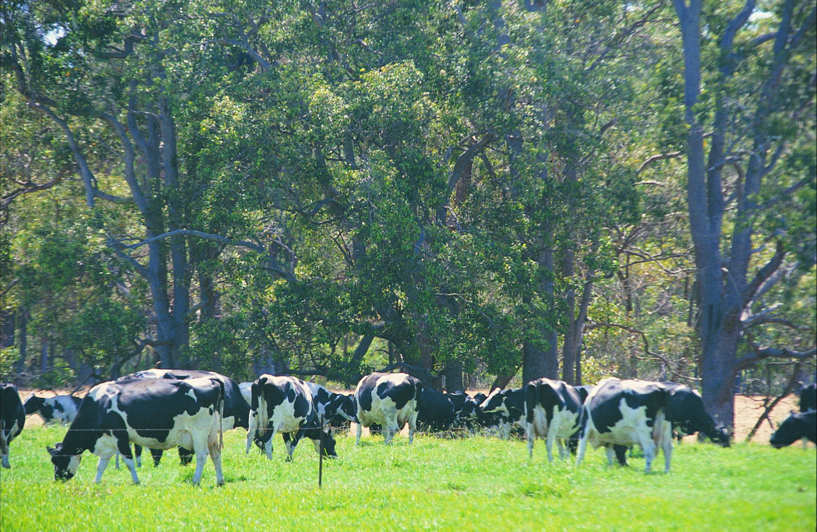 Stratham WA Accommodation QLD